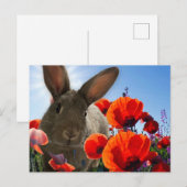 Springtime Bunny Briefkaart (Voorkant / Achterkant)