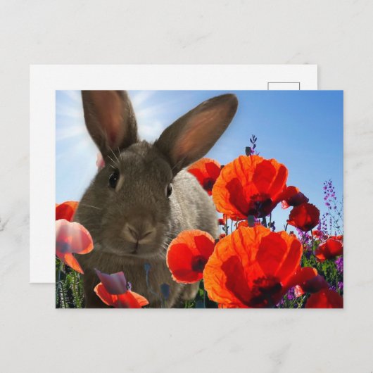Springtime Bunny Briefkaart (Voorkant / Achterkant)