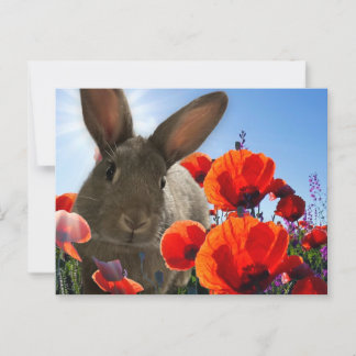 Springtime Bunny Briefkaart