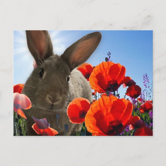 Springtime Bunny Briefkaart (Voorkant)