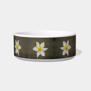 Springtime Cat Bowl Voerbakje
