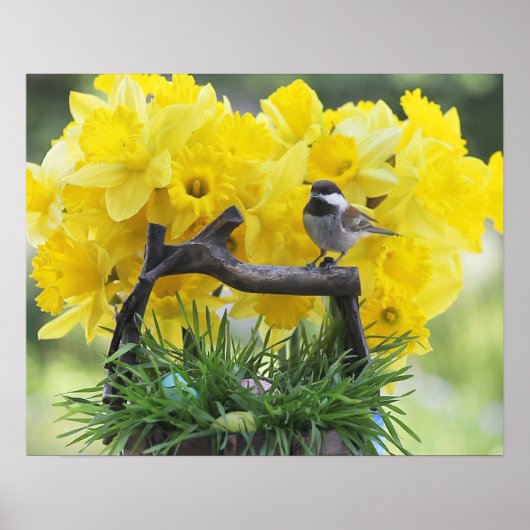 Springtime-chickadee-poster Poster (Voorkant)