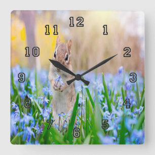 Springtime-chipmunk Vierkante Klok