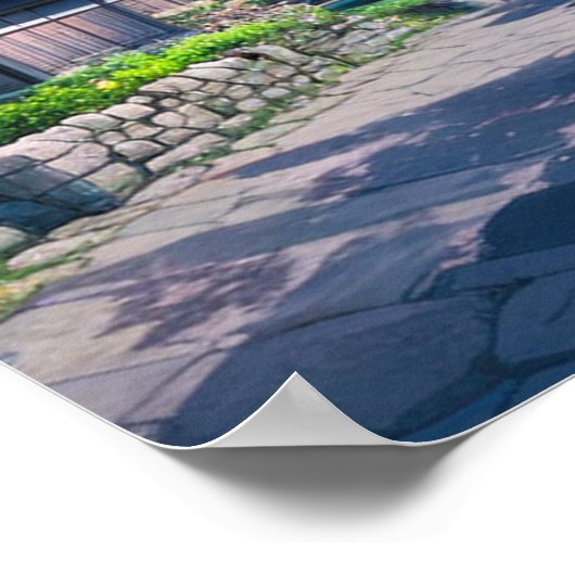 Springtime-dorp in Japan Poster (Hoek)