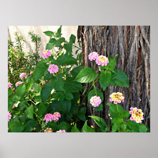 Springtime Duet Poster (Voorkant)