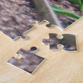 Springtime Flowers Along Stone Walkway Legpuzzel (Zijkant)