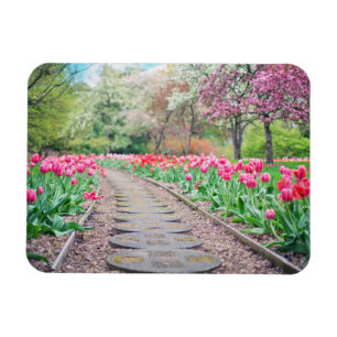 Springtime Flowers Along Stone Walkway Magneet