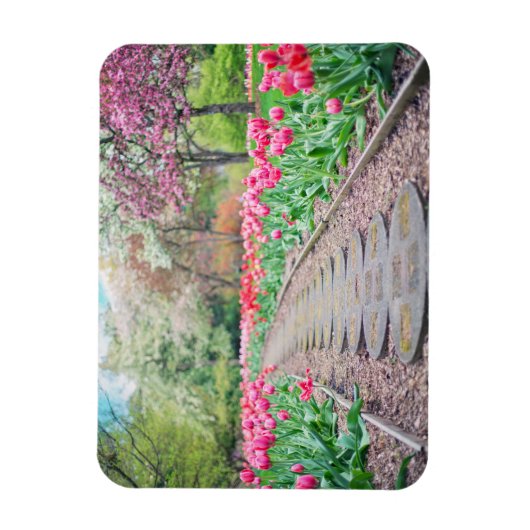 Springtime Flowers Along Stone Walkway Magneet (Verticaal)