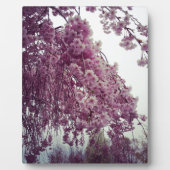 Springtime Fotoplaat (Voorkant)