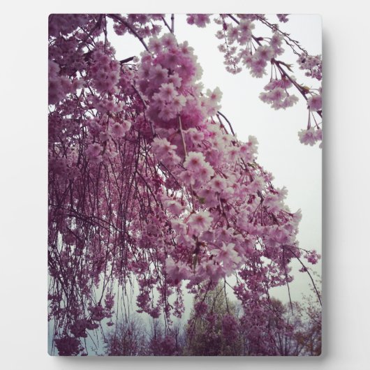 Springtime Fotoplaat (Voorkant)