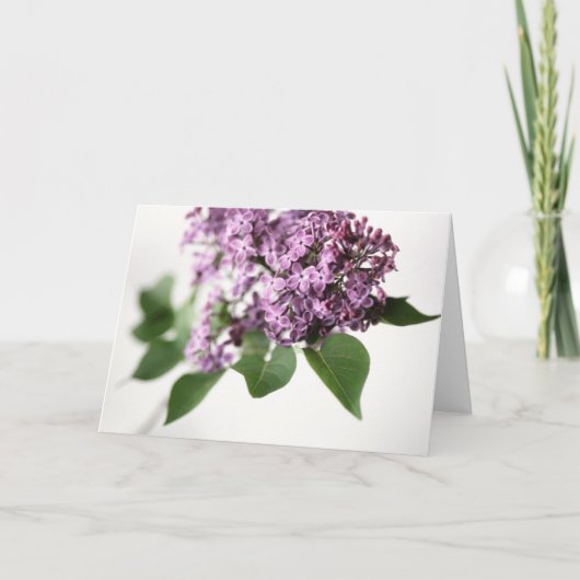 Springtime-fragrance Beauty L Kaart (Voorkant)
