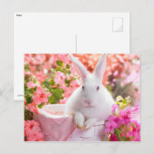 Springtime Hare Briefkaart (Voorkant / Achterkant)