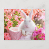 Springtime Hare Briefkaart (Voorkant)