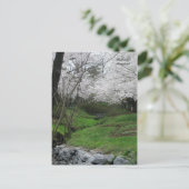 Springtime in Bethesda, Maryland Briefkaart (Staand voorkant)