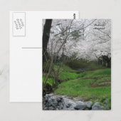 Springtime in Bethesda, Maryland Briefkaart (Voorkant / Achterkant)