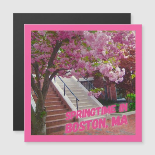 Springtime in Boston, MA (Voorkant / Achterkant)