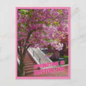 Springtime in Boston, MA Briefkaart (Voorkant)