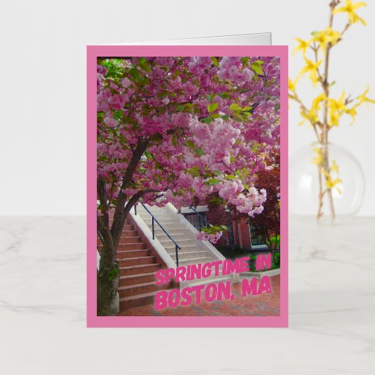 Springtime in Boston, MA Folie Wenskaart (Gele Bloem)