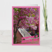 Springtime in Boston, MA Folie Wenskaart (Voorkant)