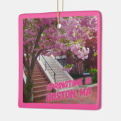 Springtime in Boston, MA Keramisch Ornament (Links)
