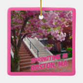 Springtime in Boston, MA Keramisch Ornament (Achterkant)