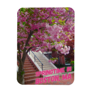 Springtime in Boston, MA Magneet