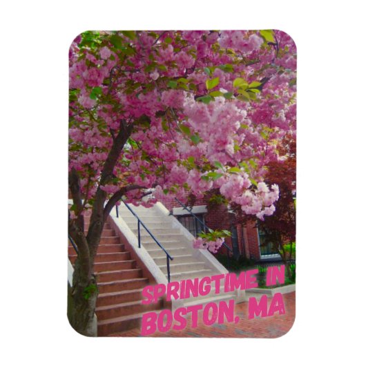 Springtime in Boston, MA Magneet (Verticaal)