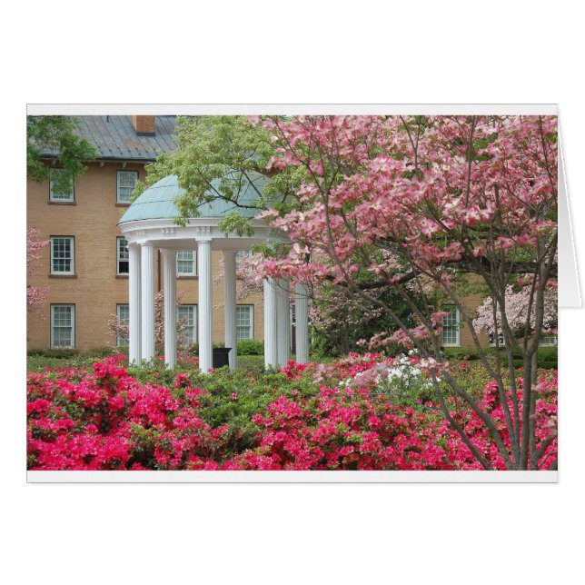 Springtime in Chapel Hill (Voorkant Horizontaal)