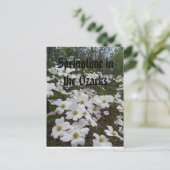 Springtime in de Ozarks Briefkaart (Staand voorkant)