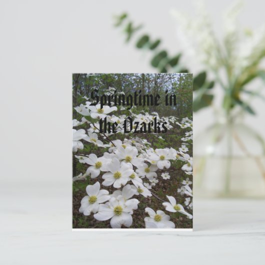 Springtime in de Ozarks Briefkaart (Staand voorkant)