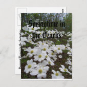 Springtime in de Ozarks Briefkaart (Voorkant / Achterkant)