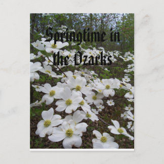 Springtime in de Ozarks Briefkaart