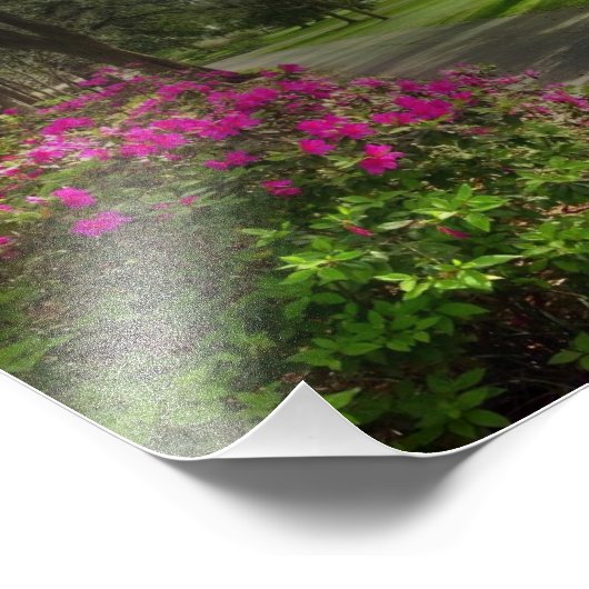 Springtime in Forsyth Park, Savannah Foto Afdruk (Hoek)