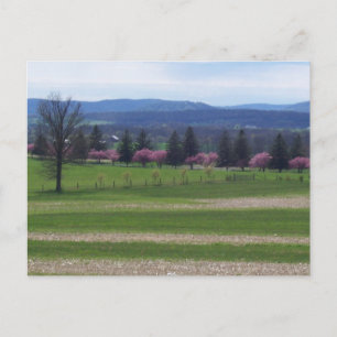 Springtime in Gettysburg Briefkaart