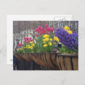 Springtime in Greeley Square NYC Flowers New York Briefkaart (Voorkant / Achterkant)