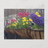 Springtime in Greeley Square NYC Flowers New York Briefkaart (Voorkant)
