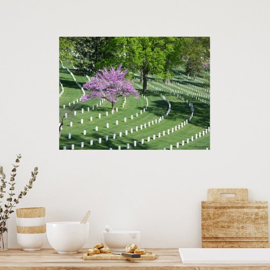 Springtime in het nationaal kerkhof van Arlington Poster (Keuken)
