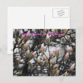 Springtime in Michigan Briefkaart (Voorkant / Achterkant)