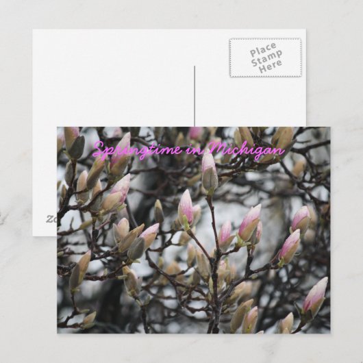 Springtime in Michigan Briefkaart (Voorkant / Achterkant)