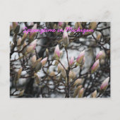 Springtime in Michigan Briefkaart (Voorkant)