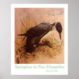 Springtime in New Hampshire door Chloe Dee Noble Poster