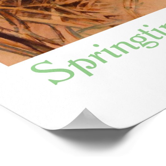 Springtime in New Hampshire door Chloe Dee Noble Poster (Hoek)