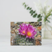 Springtime in Tucson Briefkaart (Staand voorkant)