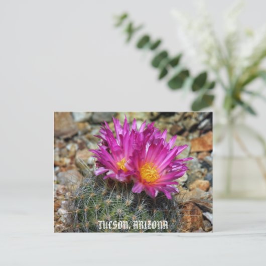 Springtime in Tucson Briefkaart (Staand voorkant)