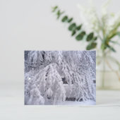 Springtime in Wisconsin-Briefkaart Briefkaart (Staand voorkant)