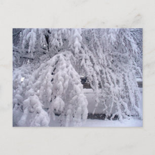 Springtime in Wisconsin-Briefkaart Briefkaart