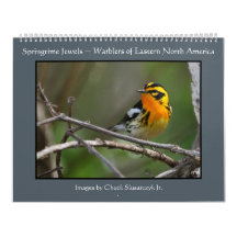 Springtime-juwelen - Warblers-kalender
