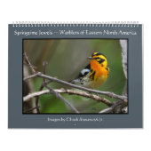 Springtime-juwelen - Warblers-kalender Kalender (Hoes)