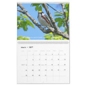Springtime-juwelen - Warblers-kalender Kalender (Mar 2027)