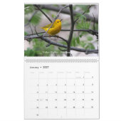Springtime-juwelen - Warblers-kalender Kalender (Jan 2027)